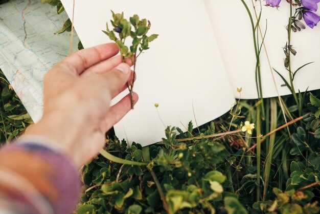 How to Identify Edible Plants in the Wild