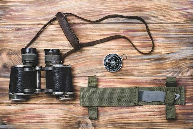 Choosing the Right Magnification for Game Observation